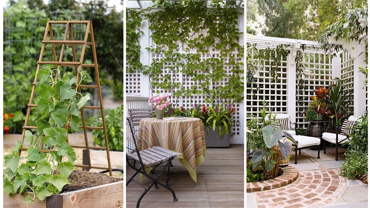 Easy DIY Garden Trellis Ideas for Climbing Plants