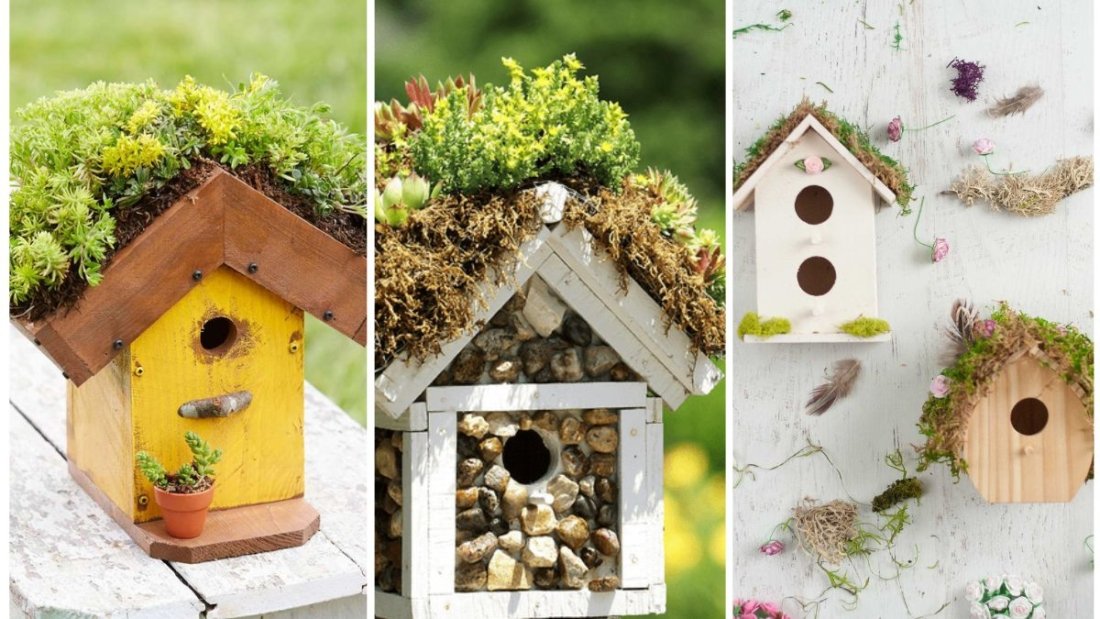 Creative DIY Birdhouses to Attract Birds
