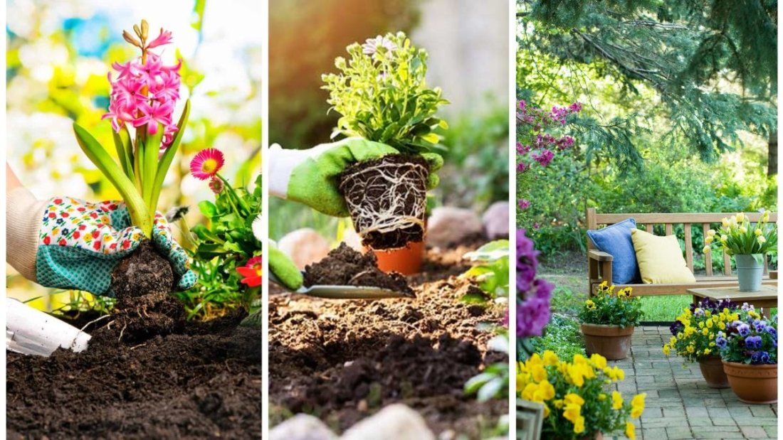How to Prepare Your Garden for Spring Planting