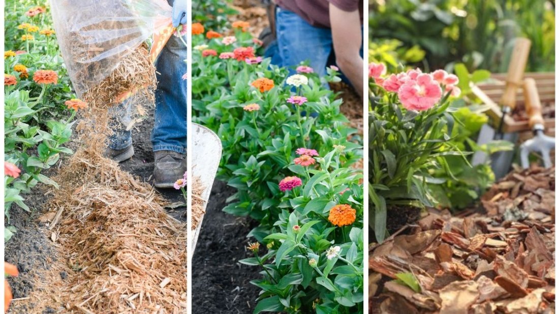 Step-by-Step Guide to Mulching Your Garden Beds