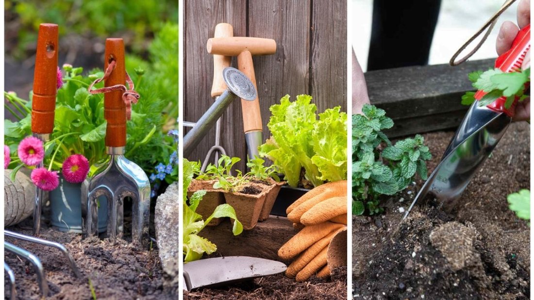The Best Tools Every Gardener Needs