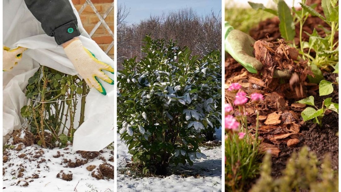 How to Winterize Your Garden for Cold Weather