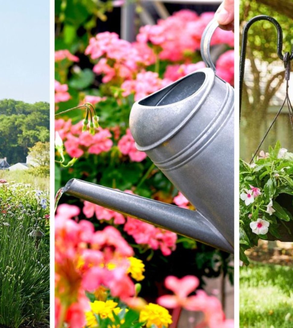 5 Ways To Revive Your Garden After A Hot Summer