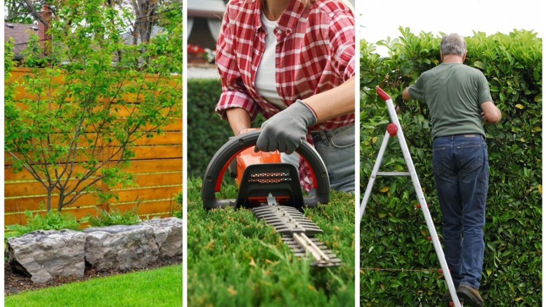 5 Polite Ways to Handle Garden Boundary Disputes