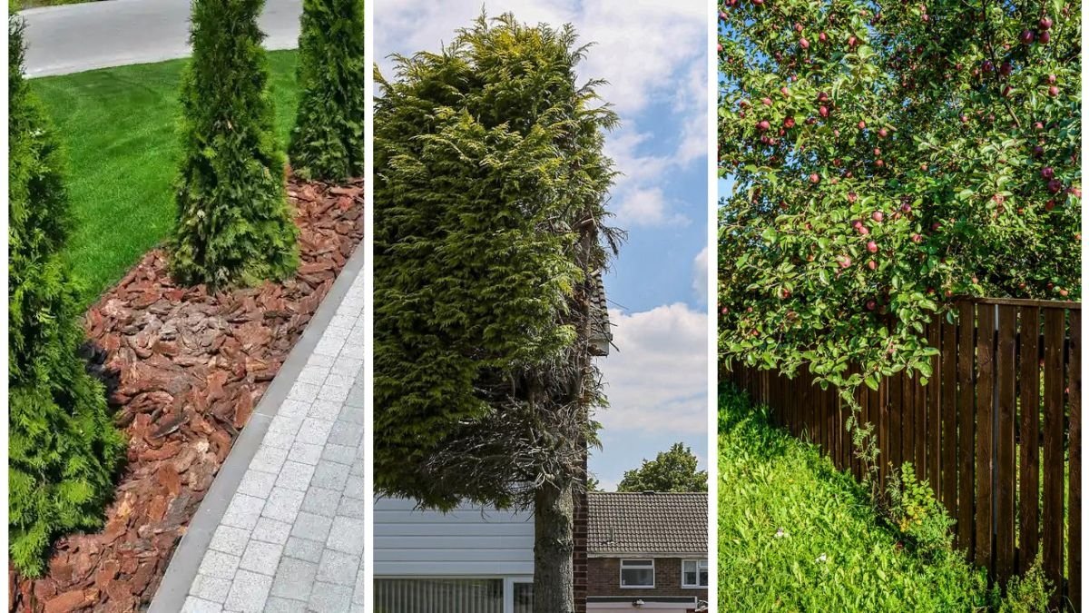 What To Do If Your Neighbor’s Flowers Cross The Property Line