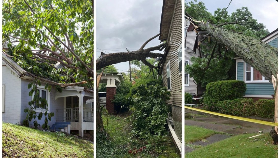 Who Is Responsible For Fallen Branches On Your Property?