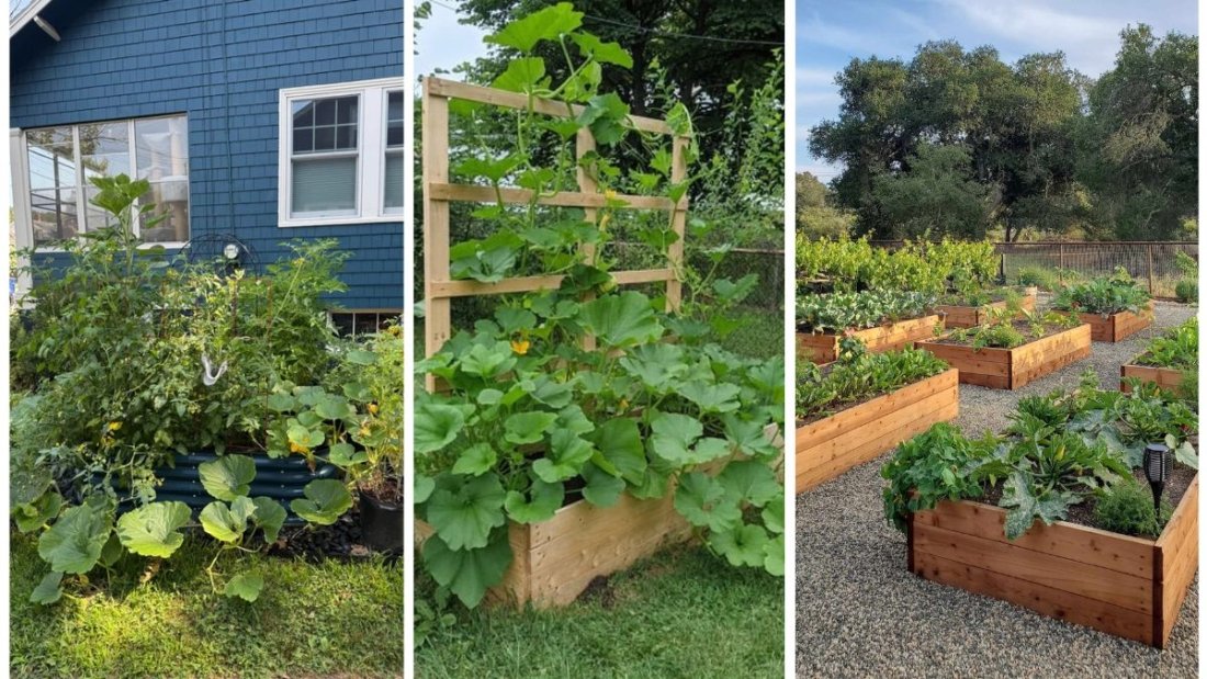 Why Raised Beds Make Gardening So Much Easier