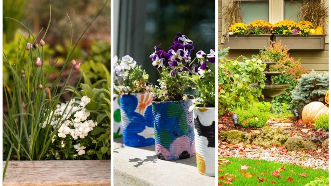 5 Easy Fall Garden Projects to Do This Weekend