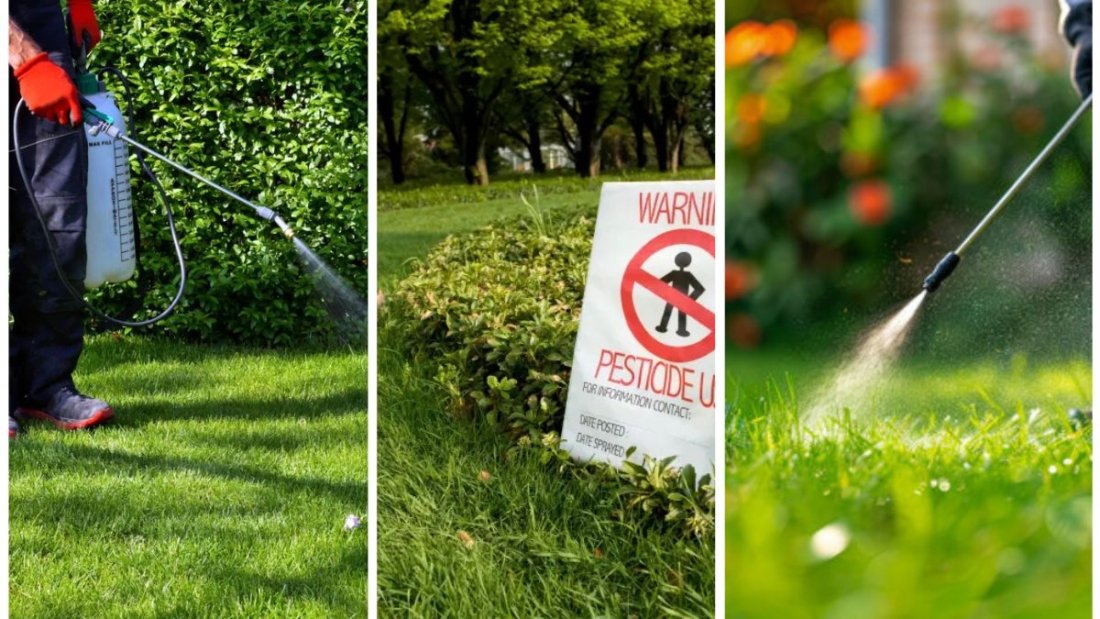 What To Do If Neighbor’s Pesticides Drift Into Your Yard