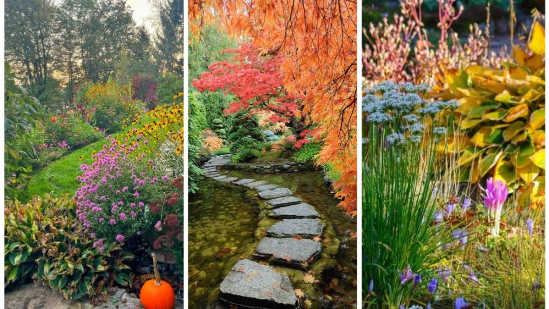How To Design A Fall Garden With Stunning Color Layers