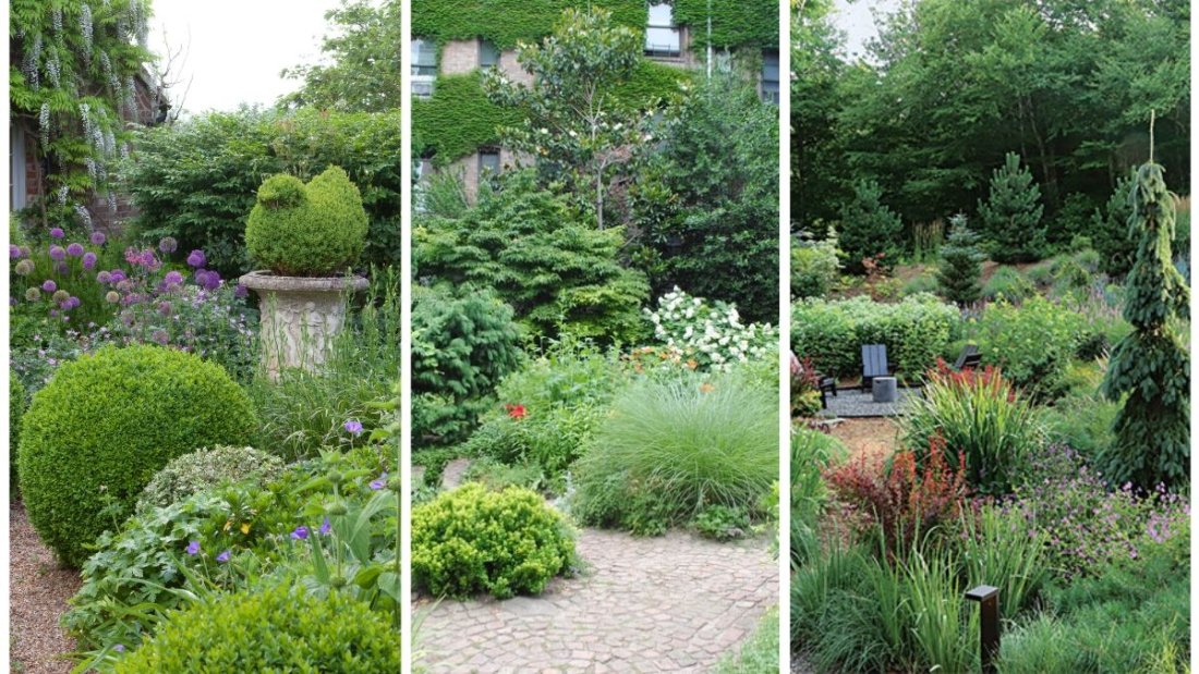 How To Mix Evergreens and Perennials for Year-Round Appeal