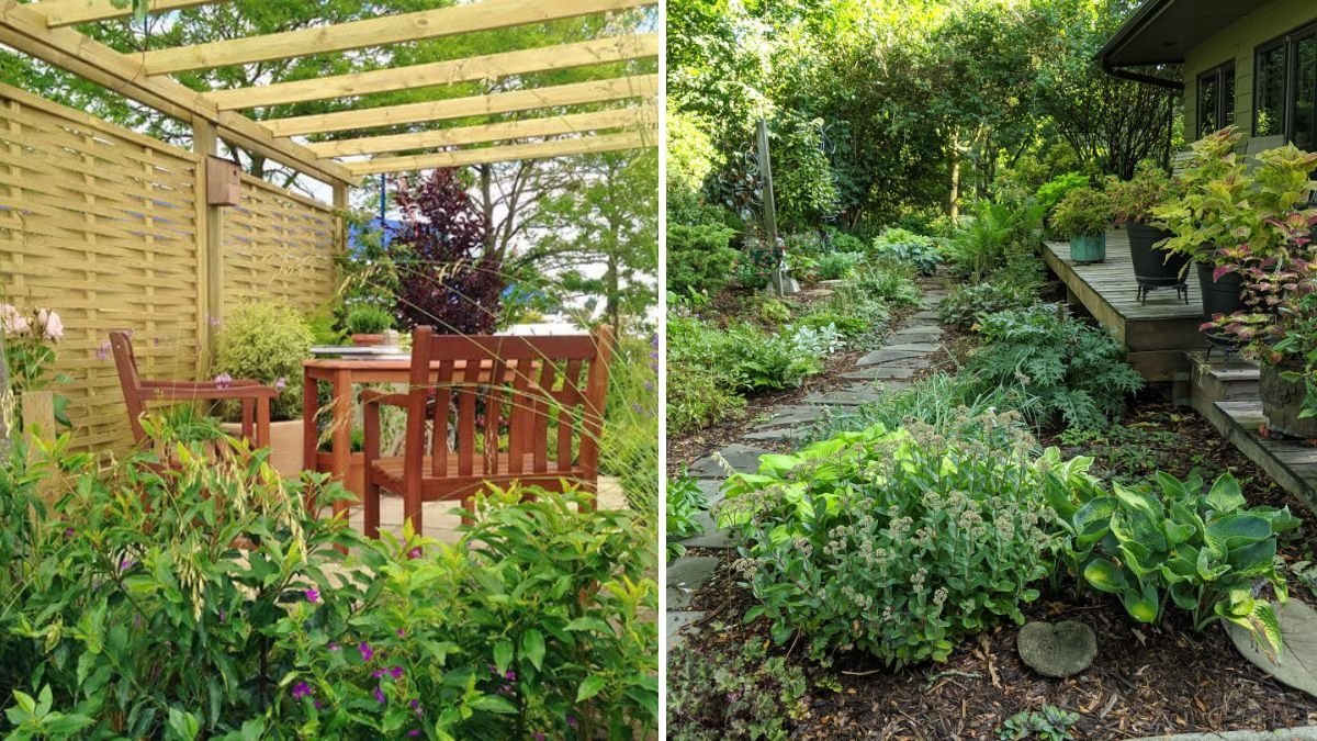 Tips for Peaceful Garden Disputes