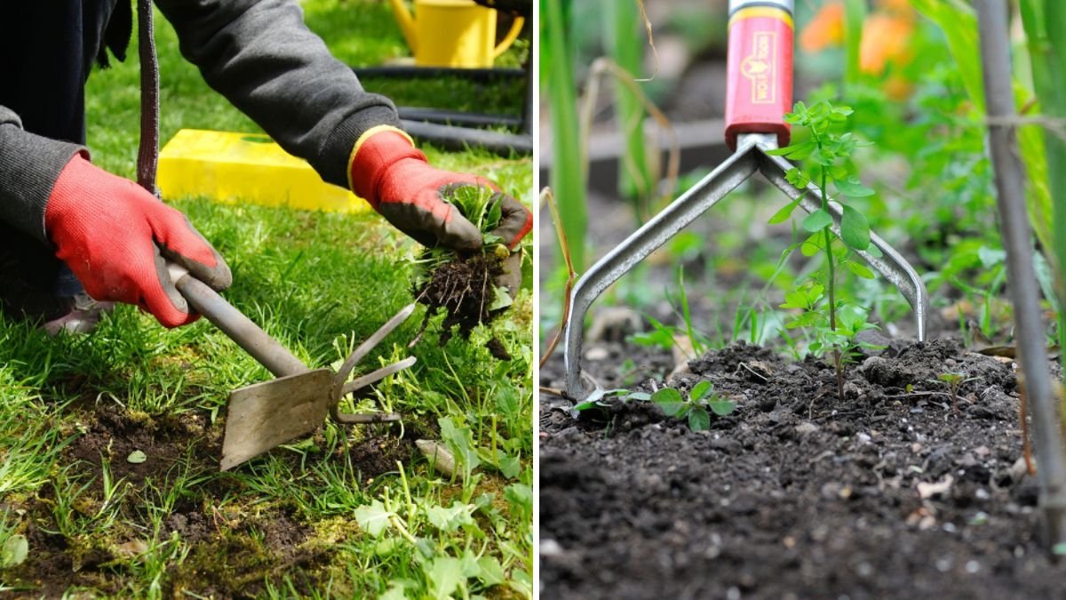 How To Pull Weeds Effectively in Fall