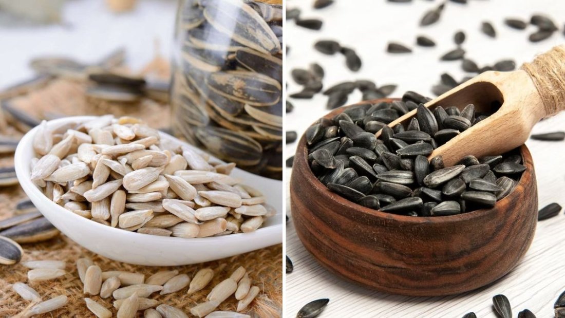 How to Collect Sunflower Seeds Without Damaging the Flower