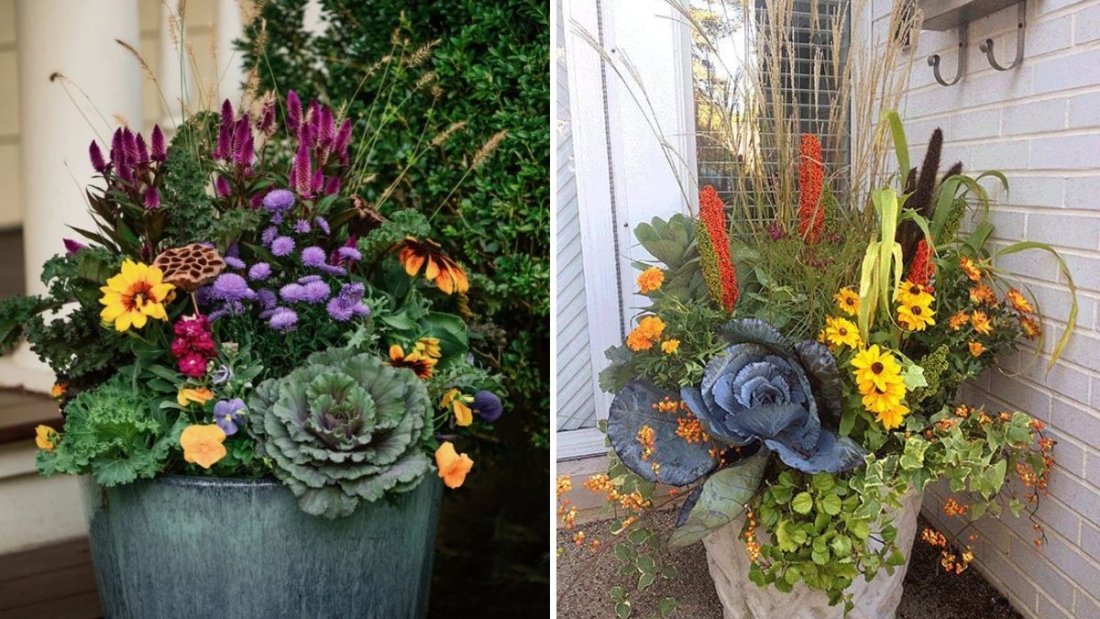 7 Flowers You Can Dry and Use in Winter Décor