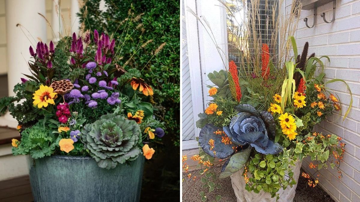 7 Flowers You Can Dry and Use in Winter Décor