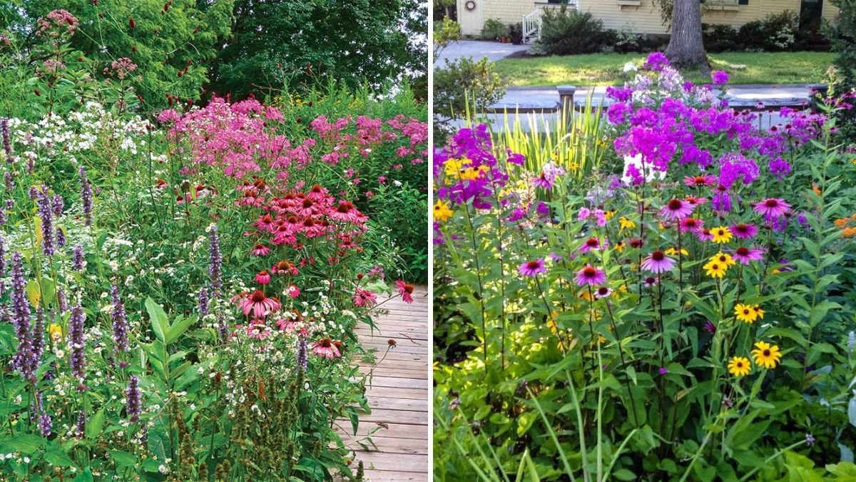 How to Build the Perfect Pollinator-Friendly Flower Bed