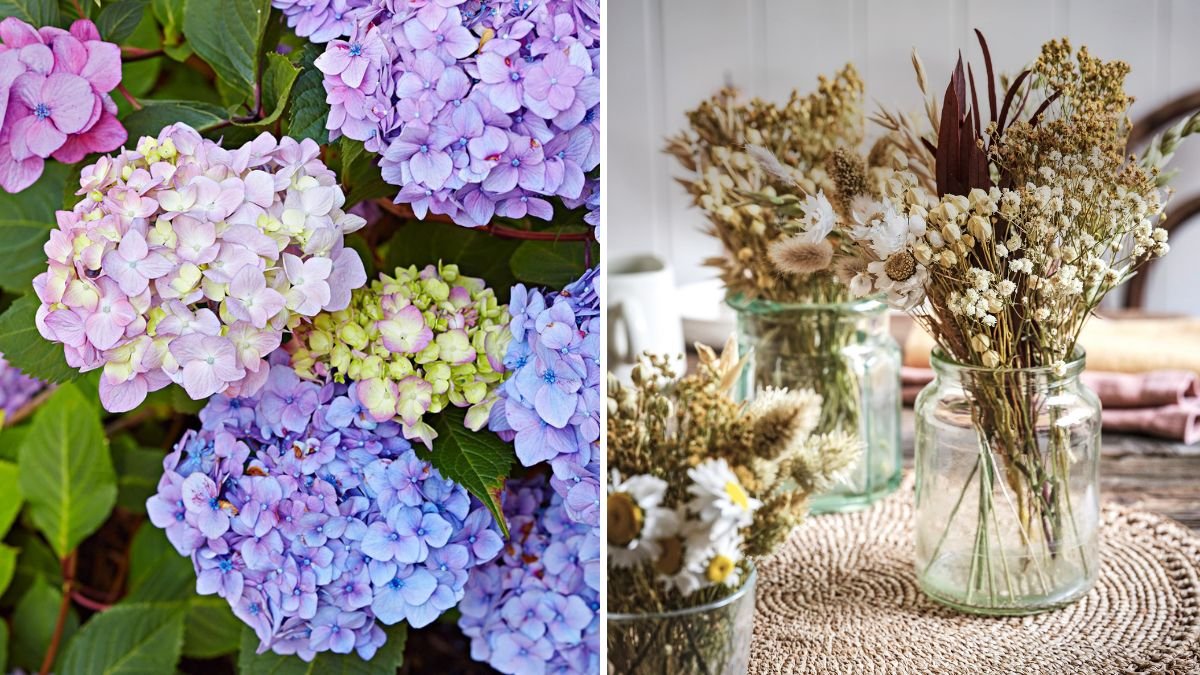 8 Flowers That Make Stunning Dried Arrangements