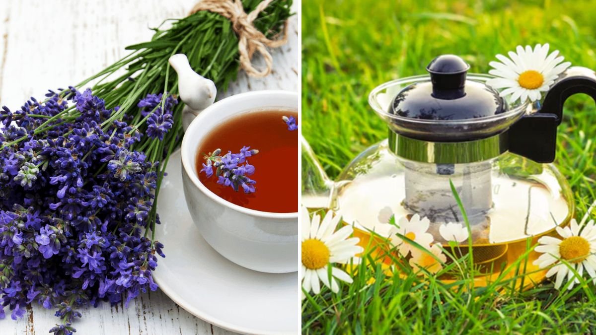 How to Grow a Tea Garden Full of Chamomile, Mint, and Lavender