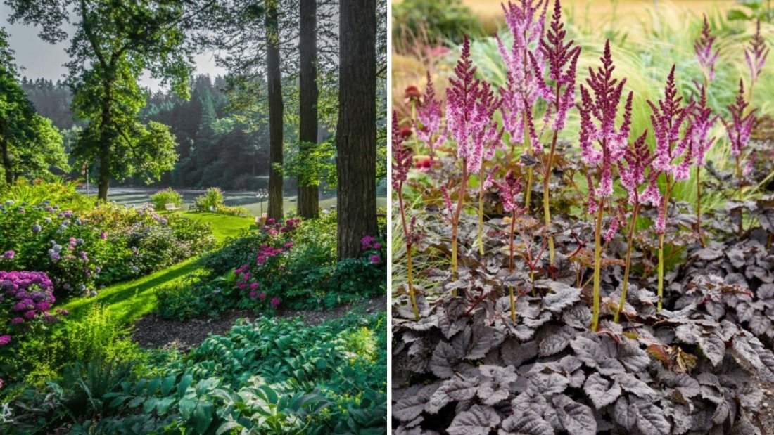 7 Plants You Should Never Plant Under Trees