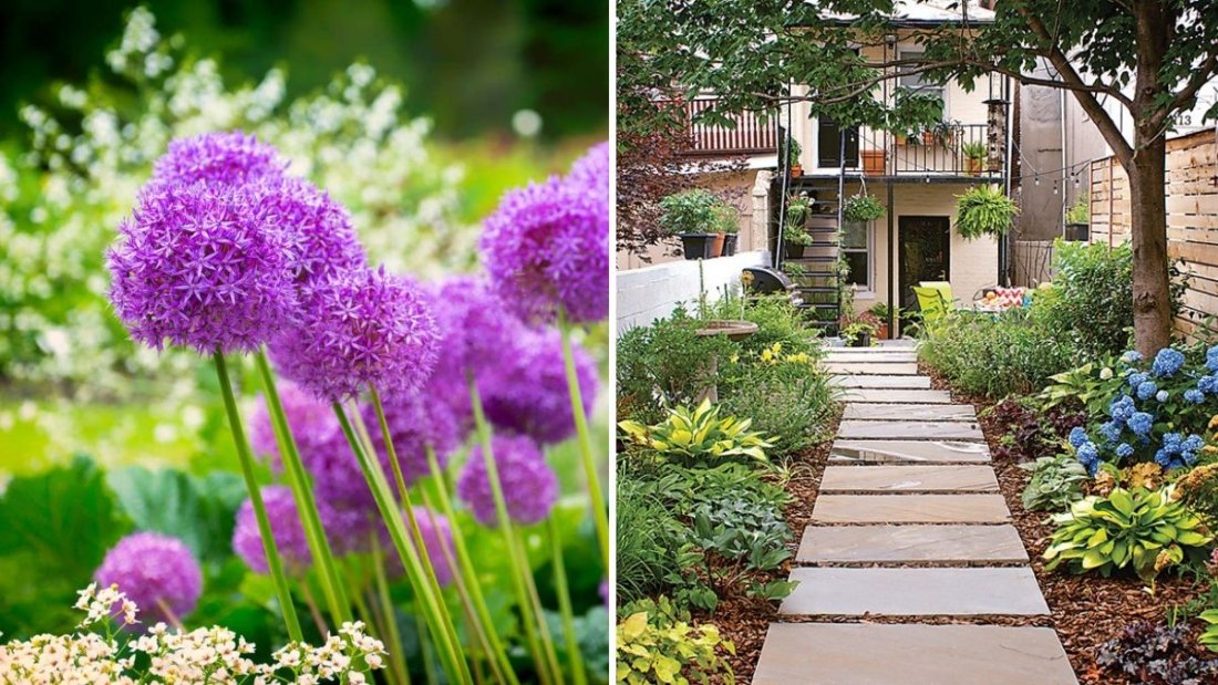 The Best Flowers for Small Urban Gardens