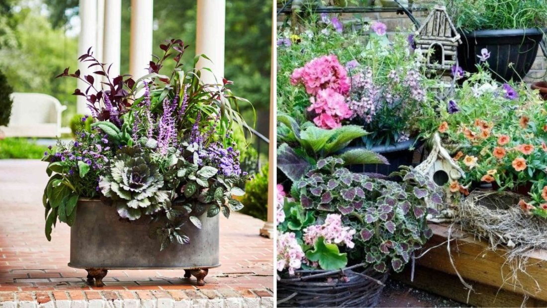 The Best Flowers for Container Displays in Shade