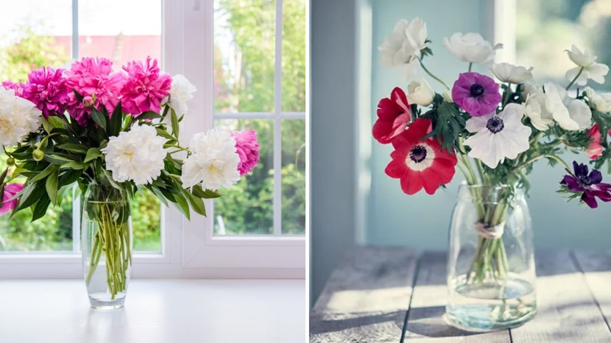 The Best Flowers for Cutting and Indoor Vases
