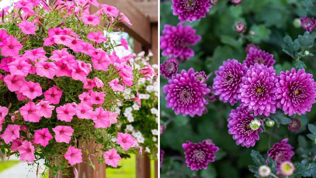 7 Flowers That Repel Garden Pests Naturally