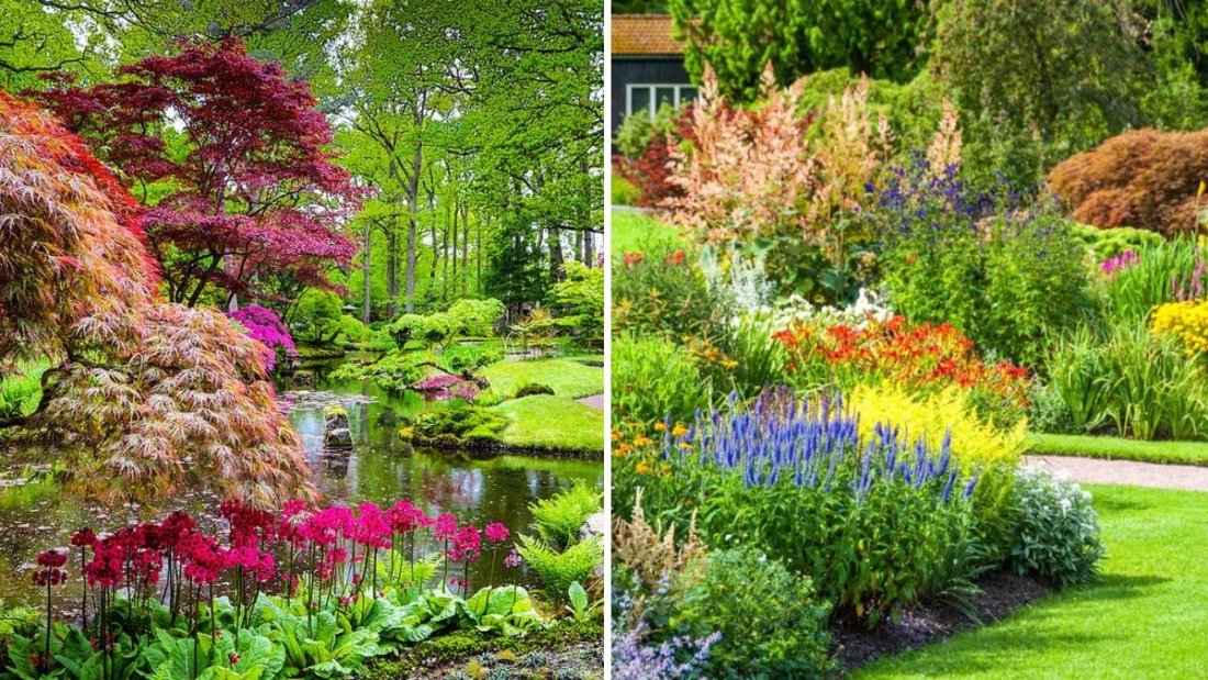 How to Design a Color-Coordinated Flower Garden
