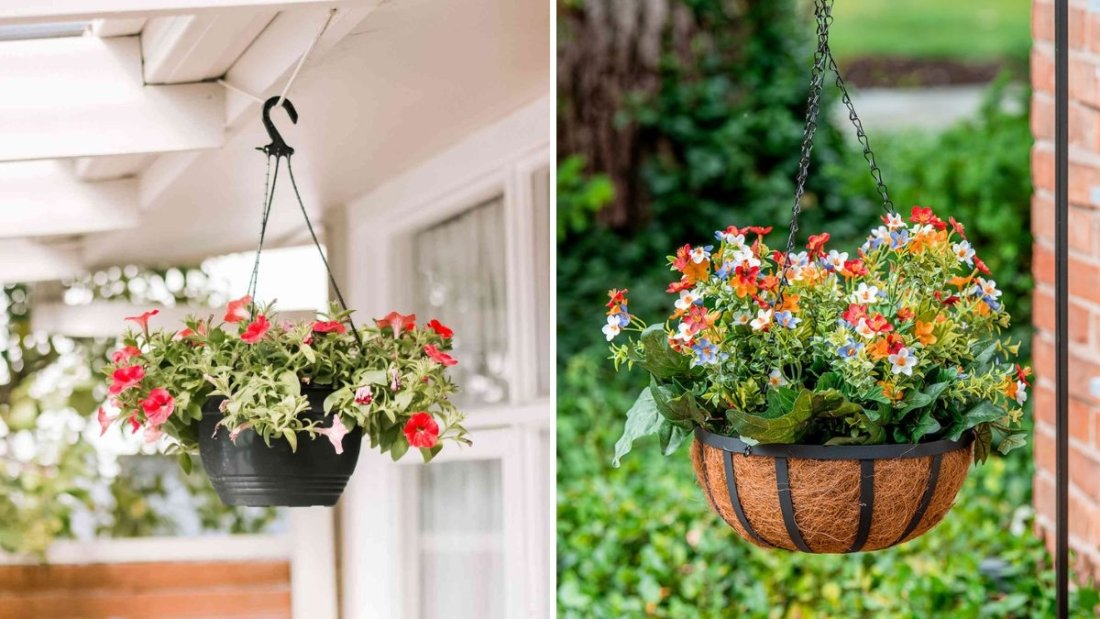 The Best Flower Varieties for Hanging Baskets
