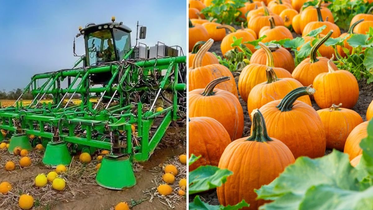 Amazing Agricultural Machines Operating at an INSANE Level: Revolutionizing Modern Farming